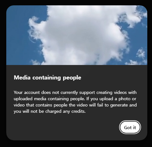 Media containing people
Your account does not currently support creating videos with uploaded media containing people. If you upload a photo or video that contains people the video will fail to generate and you will not be charged any credits.